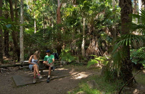 Palms Picnic Area - Tourism TAS 0