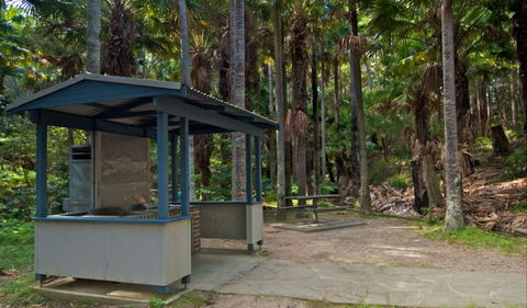 Palms Picnic Area - Tourism TAS 1