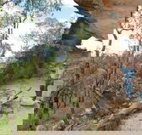 Pilliga National Park - Tourism TAS