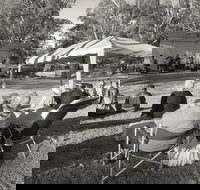 Pioneer Park - Tourism TAS