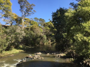 Pipers River Board Walk