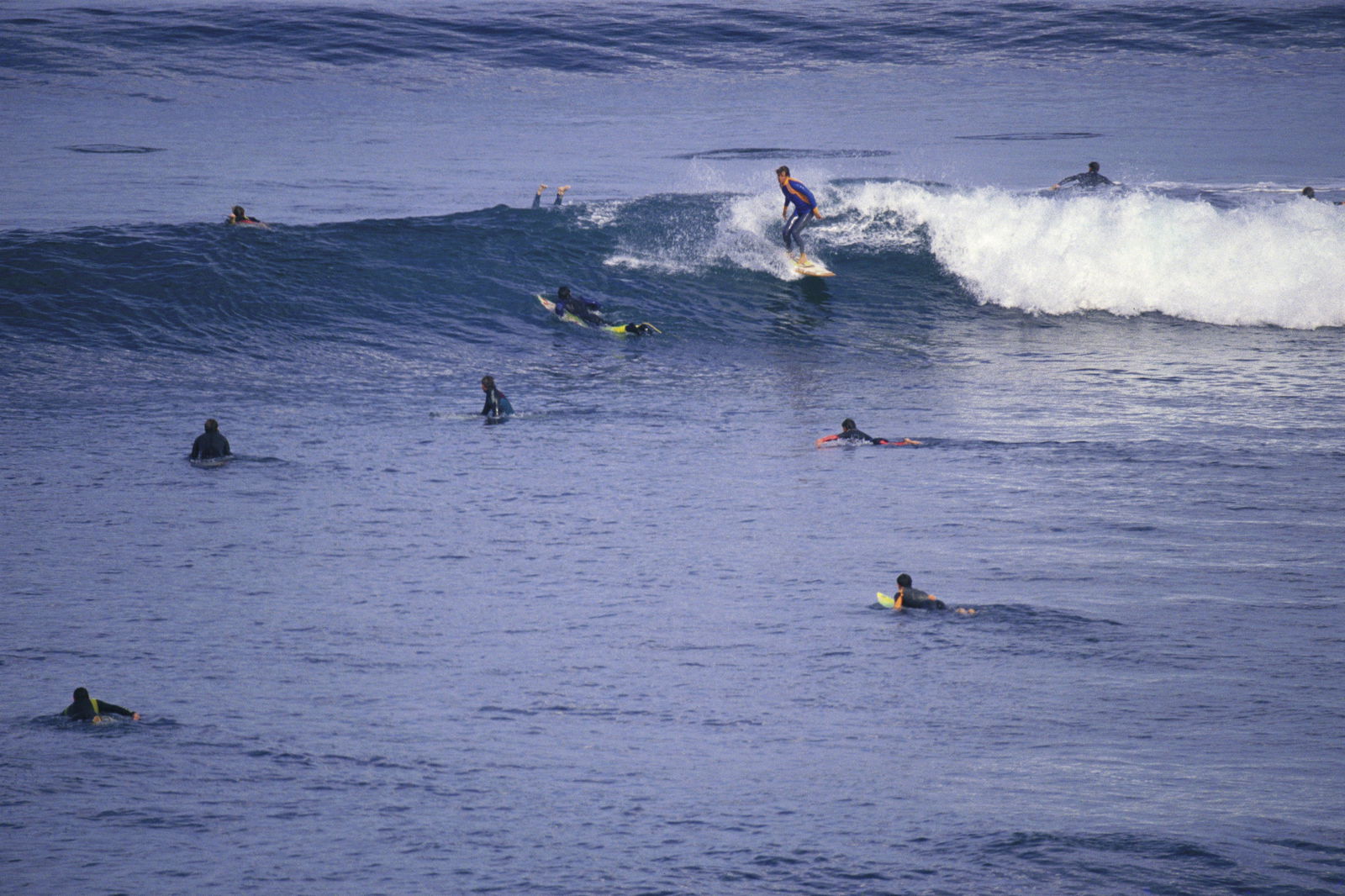 Bells Beach VIC Hobart Tourism