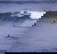 Point Addis Marine National Park - Hobart Tourism