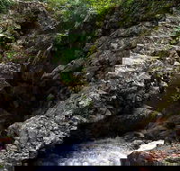 Potoroo Falls walk - Hobart Tourism