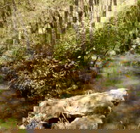 Sandy Creek Track - Hobart Tourism