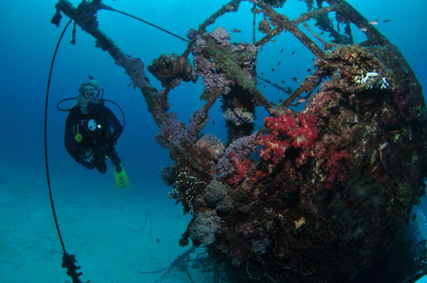 Severance Shipwreck Dive Site - Tourism TAS 0