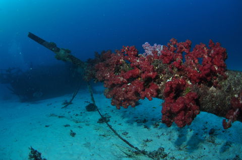 Severance Shipwreck Dive Site - Tourism TAS 2