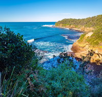 Shellgrit Beach Red Head - Tourism TAS