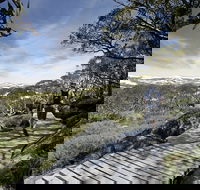 Snow Gums boardwalk - Hobart Tourism