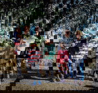 State Forests of the Watagan Mountains - Tourism TAS