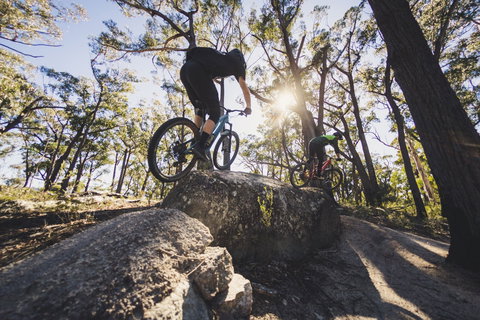 St Helens Mountain Bike Trails - Tourism TAS 1
