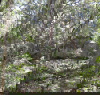 Tallaganda National Park - Tourism TAS