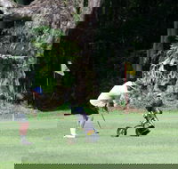 Teven Valley Golf Course - Tourism TAS
