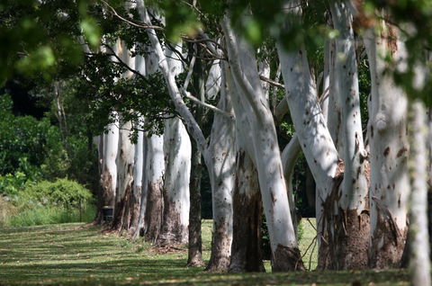 Teven Valley Golf Course - Tourism TAS 1