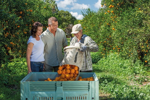 The Burnett Circle - Tourism TAS 2