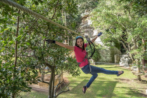 The Grotto Walk - North Nowra - Hobart Tourism 2