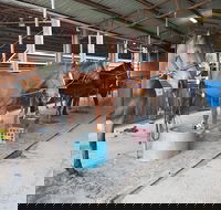 The Equine Club - Tourism TAS
