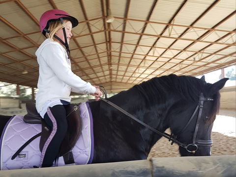 The Equine Club - Tourism TAS 1
