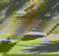 The Lions Junction Park - Tumut - Tourism TAS