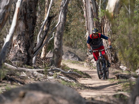 Thredbo Valley Track - Tourism TAS 2