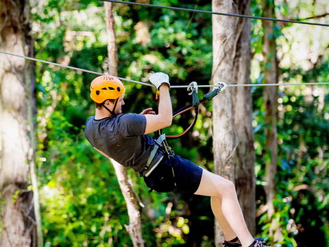 TreeTop Challenge Currumbin Wildlife Sanctuary - Hobart Tourism 0