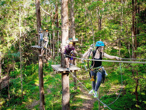 TreeTop Challenge Currumbin Wildlife Sanctuary - Hobart Tourism 1