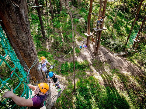 TreeTop Challenge Currumbin Wildlife Sanctuary - Hobart Tourism 2