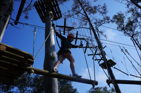 Trees Adventure Nowra Park - Hobart Tourism 0