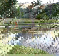 Tumut Wetlands - Tourism TAS