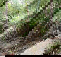 Upper Yarra Reservoir Park - Tourism TAS