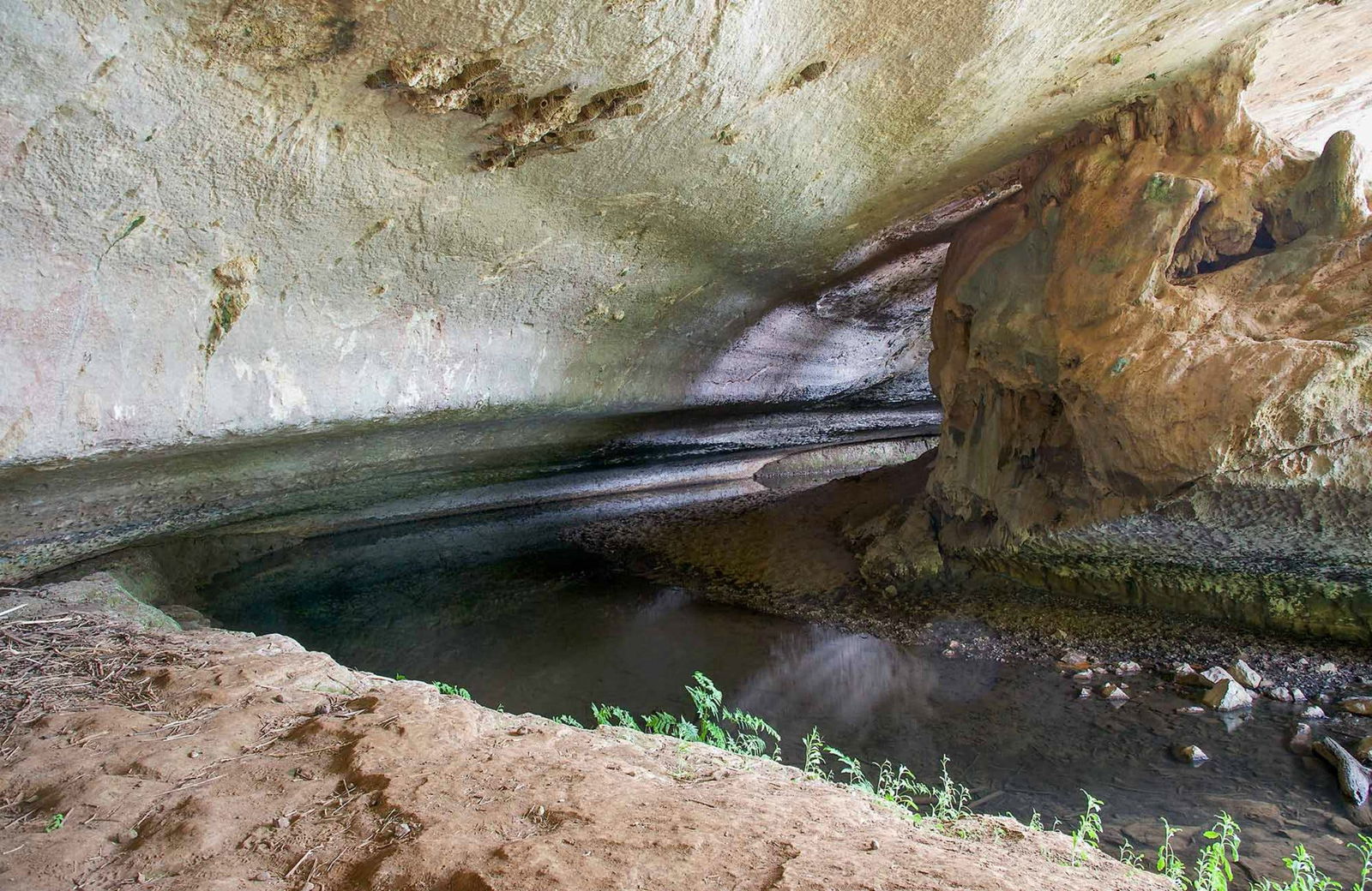 Shadforth NSW Tourism TAS