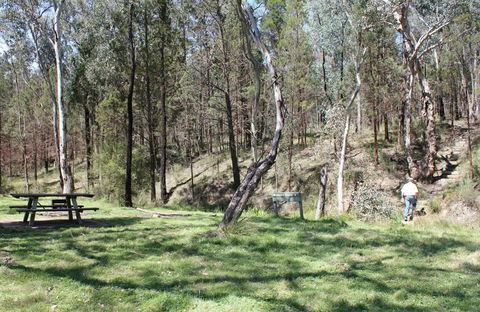 Wallaby Walking Track - Hobart Tourism 0