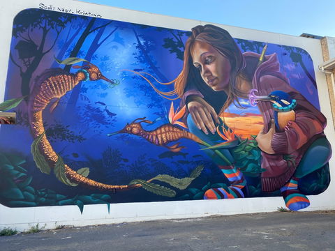 Walk The Walls Cronulla Street Art Trail - Hobart Tourism 0