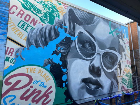 Walk The Walls Cronulla Street Art Trail - Hobart Tourism 2
