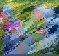 Warrumbungle National Park Discovery Program - Tourism TAS