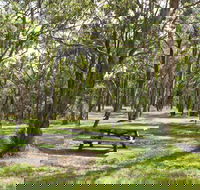 Wollomombi Gorge and Falls Picnic Area - Hobart Tourism