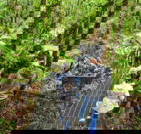 Yarra Ranges National Park - Tourism TAS