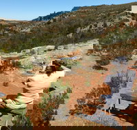 Yeldulknie Conservation Park Hiking Trail - Tourism TAS