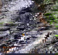 Full-Day Canyoning Experience at Stunning Empress Canyon - Tourism TAS