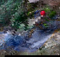 Small-Group Full-Day Canyoning and Abseiling Adventure from Katoomba - Tourism TAS