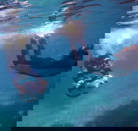Small-Group Underwater Scooter Experience in Clovelly - Tourism TAS