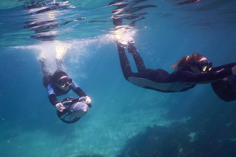Small-Group Underwater Scooter Experience In Clovelly - Tourism TAS 0