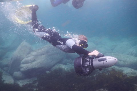 Small-Group Underwater Scooter Experience In Clovelly - Tourism TAS 7