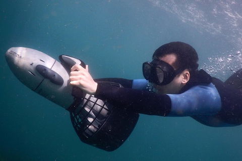 Small-Group Underwater Scooter Experience In Clovelly - Tourism TAS 3