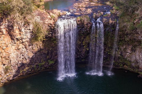 Rainforest & Waterfall Experience - Hobart Tourism 1
