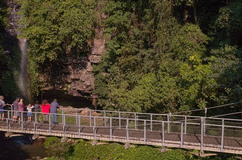 Rainforest & Waterfall Experience - Hobart Tourism 4