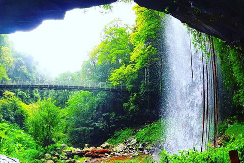 Rainforest & Waterfall Experience - Hobart Tourism 6