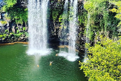 Rainforest & Waterfall Experience - Hobart Tourism 2