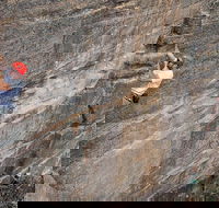 Small-Group Full-Day Rock Climbing Adventure from Katoomba - Tourism TAS