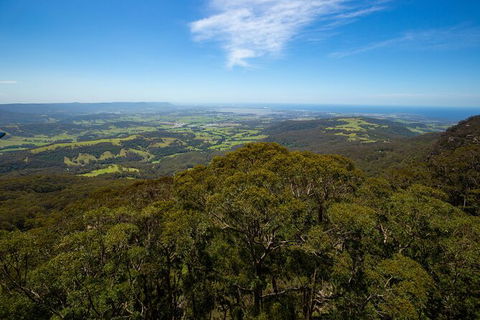 Illawarra Fly Treetop Adventures Treetop Walk Admission Ticket - Tourism TAS 6